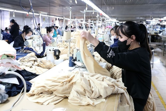 Không ký hợp đồng lao động: Doanh nghiệp sai luật, người lao động cần làm gì?