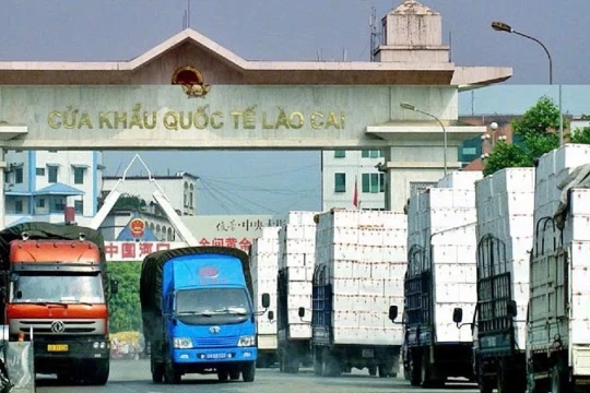 Bộ Nông nghiệp và Môi trường chủ động gỡ ‘điểm nghẽn’ ùn tắc nông sản ở cửa khẩu