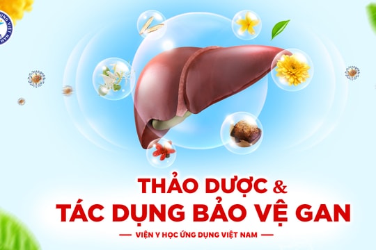 Thảo dược và tác dụng bảo vệ gan - Góc nhìn khoa học ứng dụng