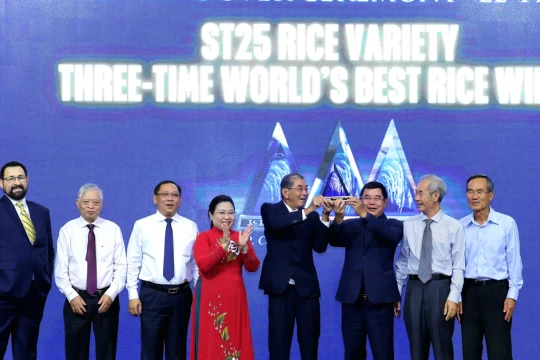 Hạt gạo Việt lần thứ ba chinh phục Cúp Gạo ngon nhất thế giới