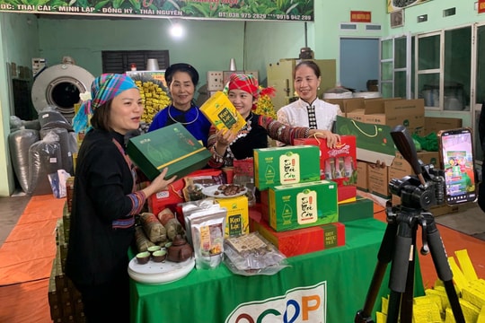 Đẩy mạnh chuyển đổi số hộ kinh doanh từ mô hình thí điểm Thái Nguyên