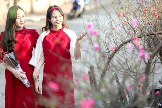 Thời tiết cả nước dịp Tết Nguyên đán Bính Ngọ 2026 thế nào?