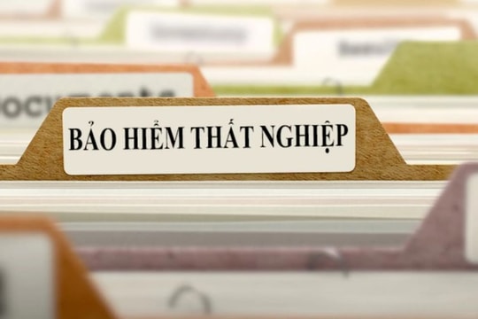 Bảo hiểm thất nghiệp có 10 thủ tục mới, người lao động làm sai là… CHẬM TIỀN