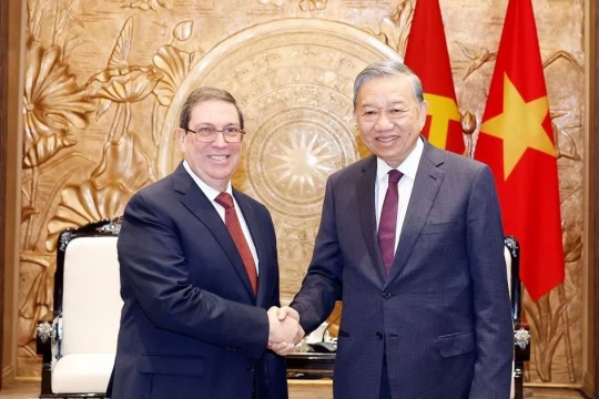 Tổng Bí thư tiếp Đặc phái viên Đảng, Nhà nước Cuba, Bộ trưởng Ngoại giao Cuba