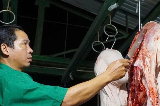 Dự báo nhu cầu thịt dịp Tết tăng, Cần Thơ chủ động kiểm soát