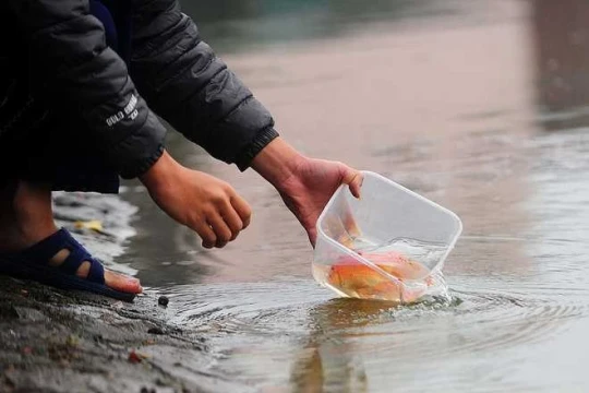 Thời tiết Tết ông Công ông Táo thế nào?