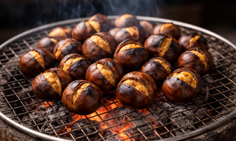 Ăn các loại hạt như thế nào tốt cho sức khỏe