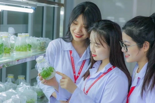 Nghị quyết 57 và hệ sinh thái đổi mới sáng tạo: Liên kết '3 nhà' kiến tạo - tự chủ - đầu tư