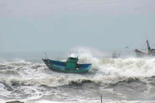Các tỉnh từ Quảng Ninh đến An Giang chủ động ứng phó với gió mạnh trên biển