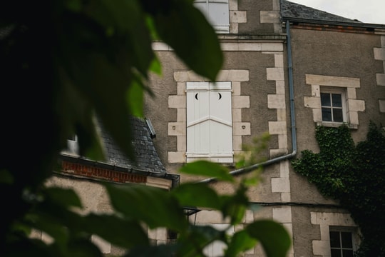 Tử vi thứ 2 ngày 9/2/2026 của 12 con giáp: Dần thất thường, Mùi thuận lợi