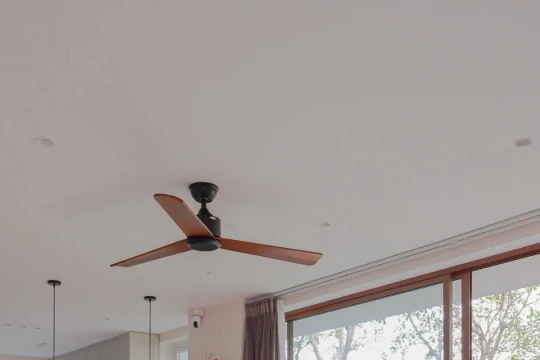 Không gian với góc nhà đầy hoa lá, tràn ngập ánh sáng