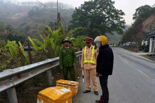 Cận Tết, phát hiện hơn 1 tấn thực phẩm không rõ nguồn gốc