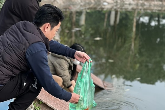 Người thành phố loay hoay tìm nơi thả cá chép ngày ông Táo