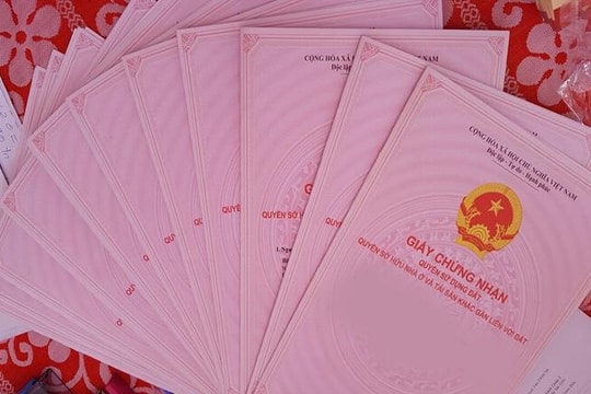 Nhiều dự án ở TP.HCM được cấp sổ hồng trước Tết