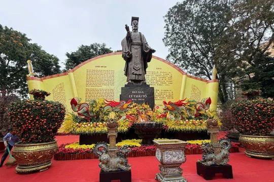 Hơn 300 gốc đào cổ quý hiếm hội tụ tại vườn hoa Lý Thái Tổ