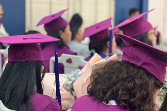 Tiến sĩ ứng tuyển làm giảng viên đại học có phải nộp lệ phí?