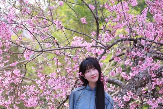 Các kiểu áo dài cách tân đón Tết của giới trẻ