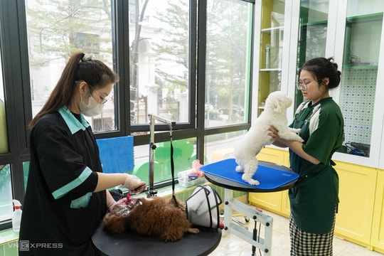 Cửa hàng chăm sóc, trông giữ thú cưng tất bật dịp Tết
