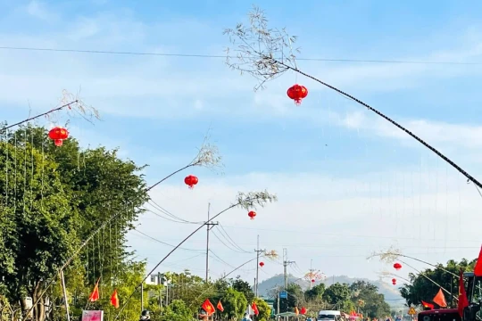 Cây nêu ngày Tết: Giữ nếp xưa nơi đất mới