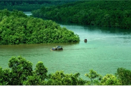 Một ngày du xuân Cần Giờ, trọn niềm vui cho cả gia đình, vẹn ký ức cho nhiều mùa Tết