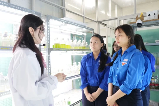 Chiến lược then chốt nâng tầm giáo dục Việt Nam