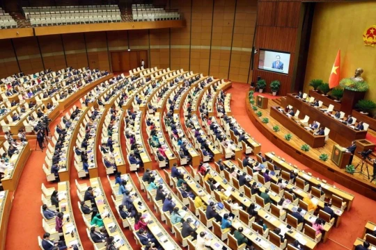 Nhân sự Chính phủ, Quốc hội ứng cử đại biểu Quốc hội khóa XVI