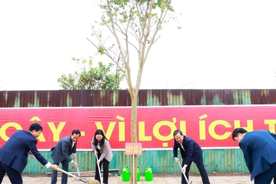 Chủ tịch tỉnh Bắc Ninh dự lễ phát động Tết trồng cây tại phường Yên Dũng