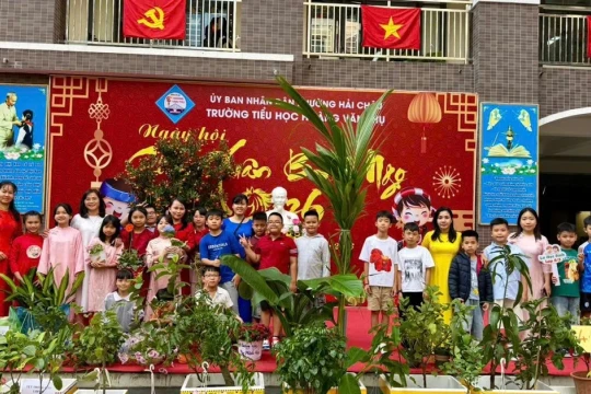 Từ chậu hành lá nơi trường học phố thị đến rừng quế của học sinh vùng cao