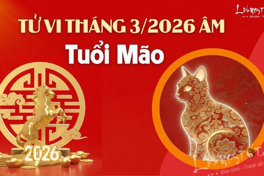 Tử vi tháng 3/2026 tuổi Mão âm lịch: Hung vận tăng mạnh nếu thiếu sự tỉnh táo