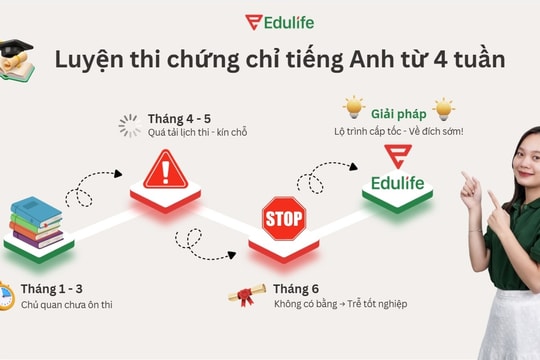 Edulife giúp sinh viên ra trường đúng hạn với khoá ôn tiếng Anh cấp tốc 4 tuần
