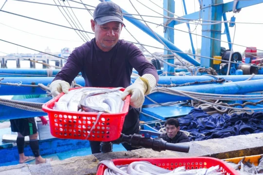 Quảng Trị: Ngư dân ra khơi đón 'lộc' biển