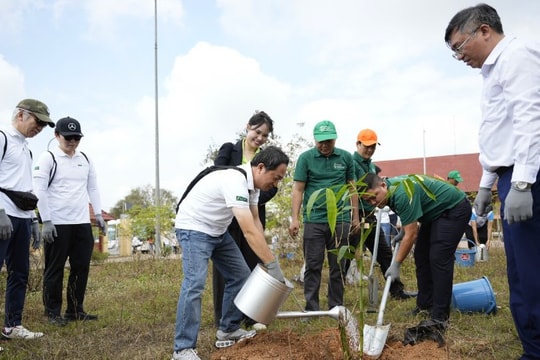 Ngày hội trồng tre chung tay vì môi trường