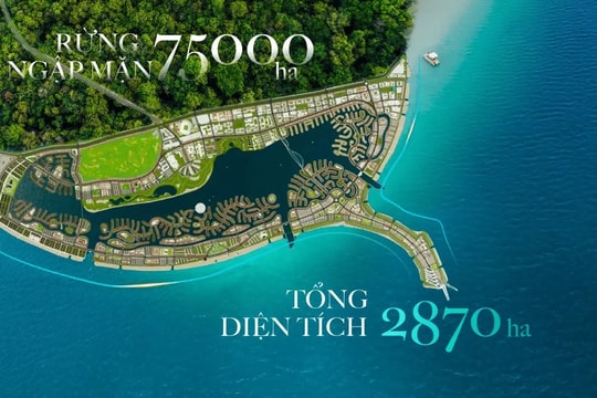 Vinhomes Green Paradise: Cú hích tái định vị bản đồ bất động sản ven biển TP.HCM