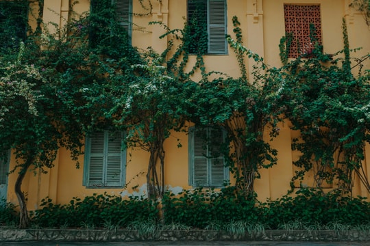 Tử vi thứ 3 ngày 3/3/2026 của 12 con giáp: Rằm tháng Giêng - Thân gặp quý nhân, Dậu tốn công