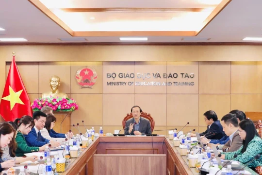 Hợp tác triển khai các chương trình, chứng chỉ tin học quốc tế