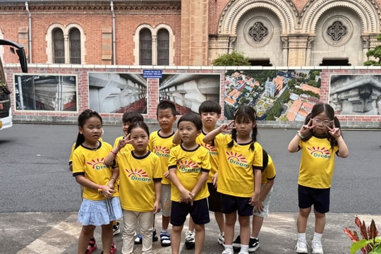 TP Hồ Chí Minh: Hạn cuối rà soát dữ liệu tuyển sinh đầu cấp trong hôm nay