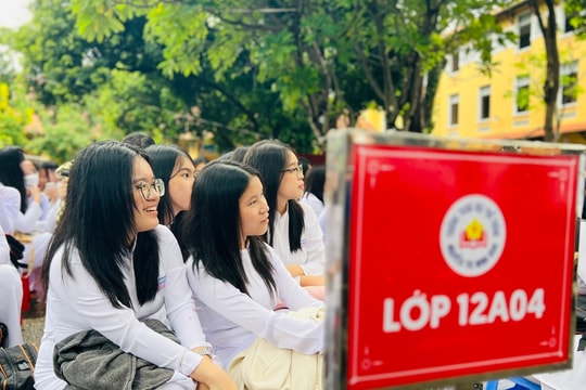 Nhìn lại loạt ngành thí sinh đạt 9,8 điểm/môn vẫn... rớt