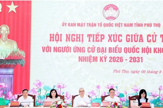 Cô giáo trẻ mong muốn góp tiếng nói từ thực tiễn giáo dục vào nghị trường