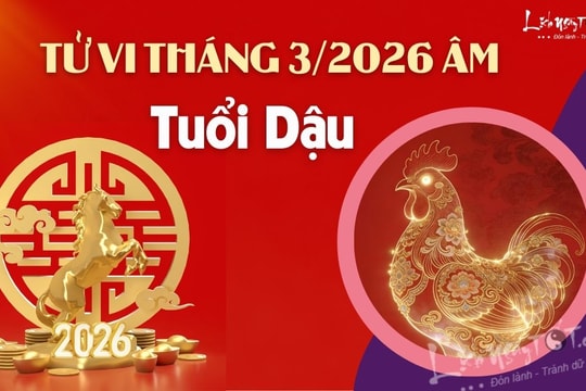 Tử vi tháng 3/2026 tuổi Dậu âm lịch: Thời điểm vàng để bứt phá mạnh mẽ