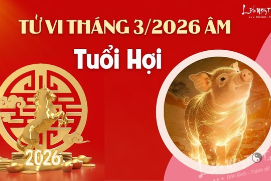 Tử vi tháng 3/2026 tuổi Hợi âm lịch: Có thể vỡ mộng vì tham vọng quá cao