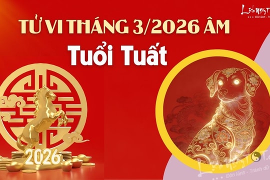 Tử vi tháng 3/2026 tuổi Tuất âm lịch: Đối mặt với một giai đoạn khá cam go