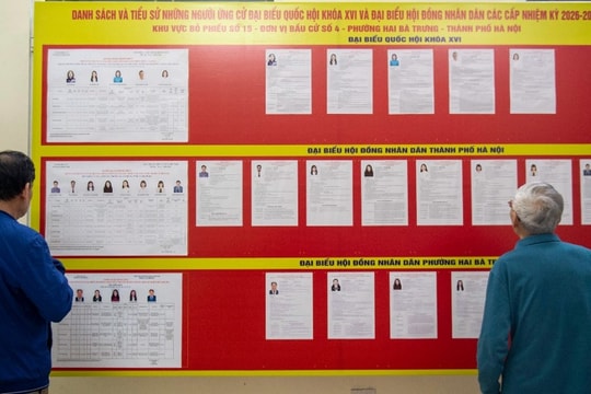 Quy trình bỏ phiếu bầu cử diễn ra như thế nào?