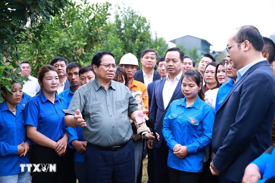 Thủ tướng: Cần biến núi rừng Tây Bắc trùng điệp thành của cải vật chất