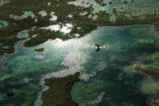 Tử vi tuần mới của 12 con giáp (9 - 15/3/2026): Dần gặp rào cản, Hợi viên mãn