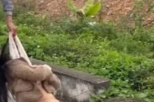 Vụ kéo lê cô gái trên đường: Người đàn ông đối diện với nhiều tội danh