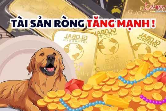 Càng về cuối tháng Giêng 2026 tài sản ròng càng tăng không kiểm soát, 4 con giáp tưng bừng CHỐT LỜI!