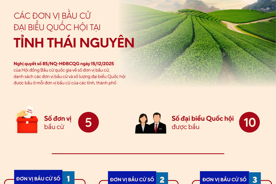 [Infographic] Các đơn vị bầu cử đại biểu Quốc hội tại tỉnh Thái Nguyên