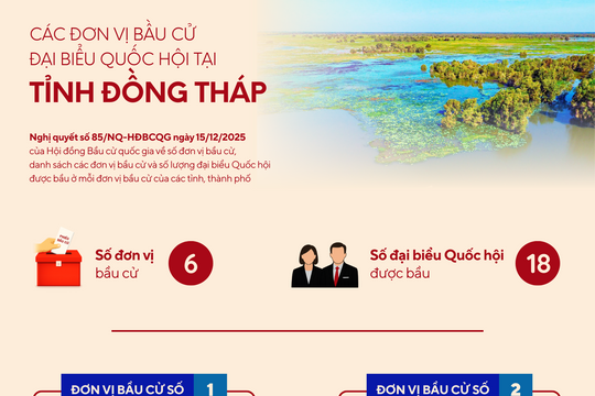 [Infographic] Các đơn vị bầu cử đại biểu Quốc hội tại tỉnh Đồng Tháp