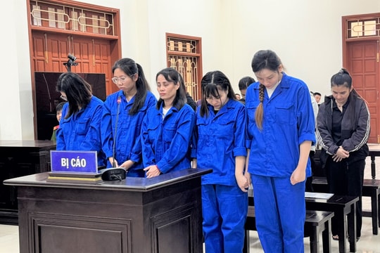 10 "nữ quái" tổ chức đường dây mang thai hộ, dịch vụ trọn gói từ A đến Z