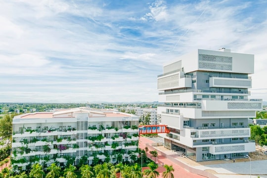 Trường Đại học FPT đồng tổ chức hội nghị quốc tế APWeb-WAIM 2026